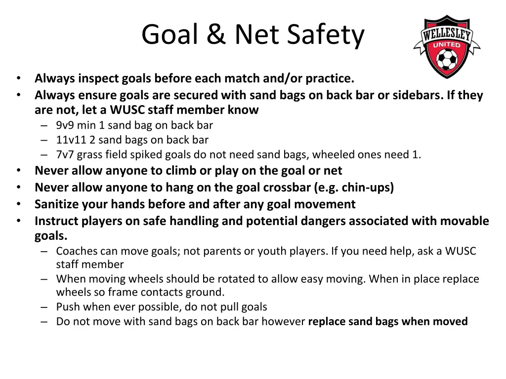 goal net safety