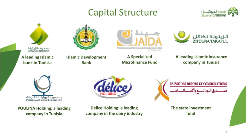 capital structure