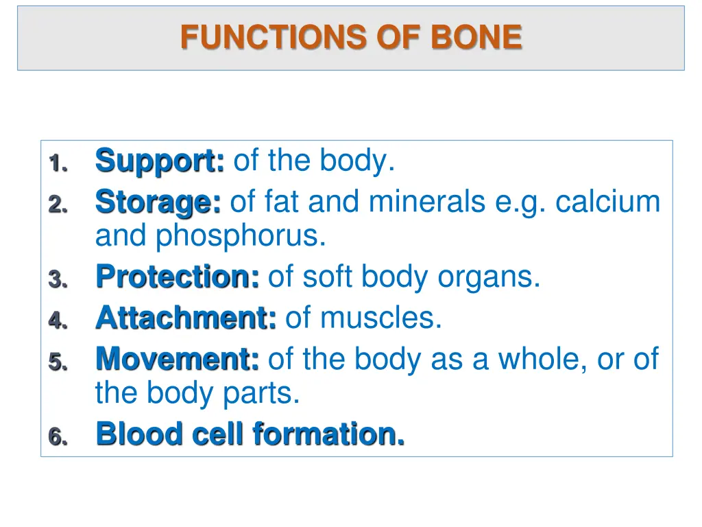 functions of bone