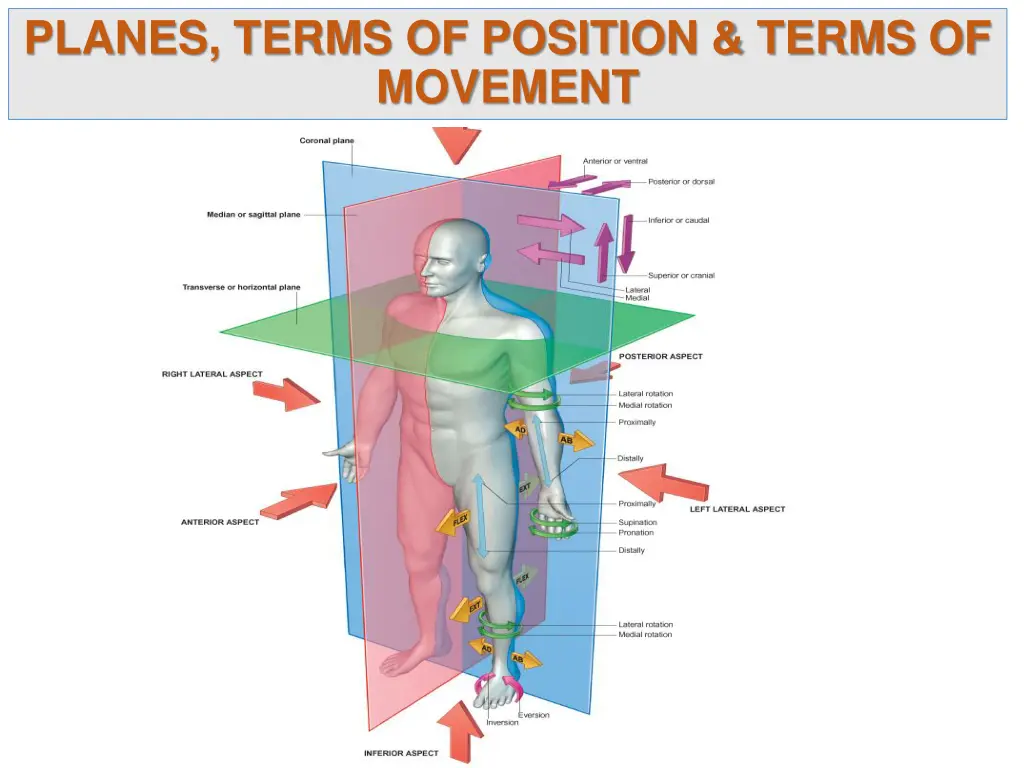 planes terms of position terms of movement