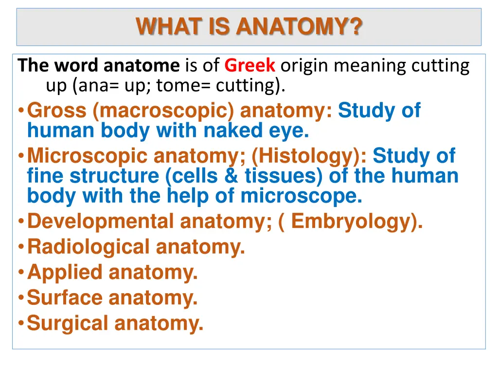 what is anatomy