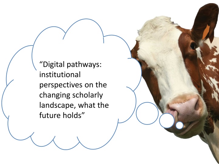 digital pathways institutional perspectives