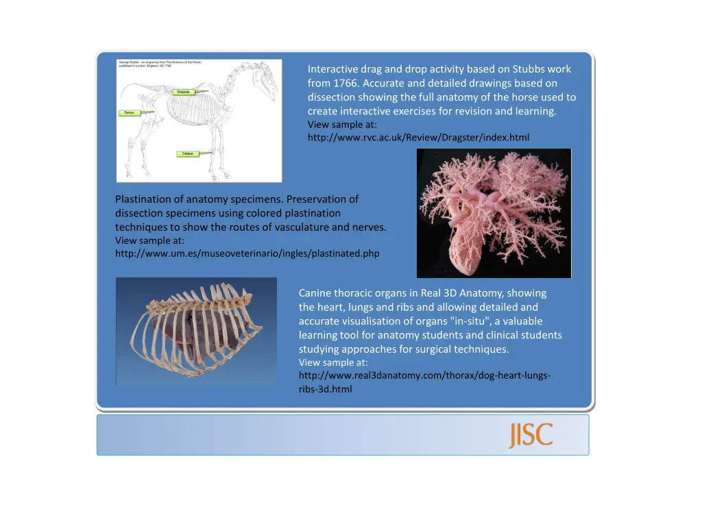 interactive drag and drop activity based