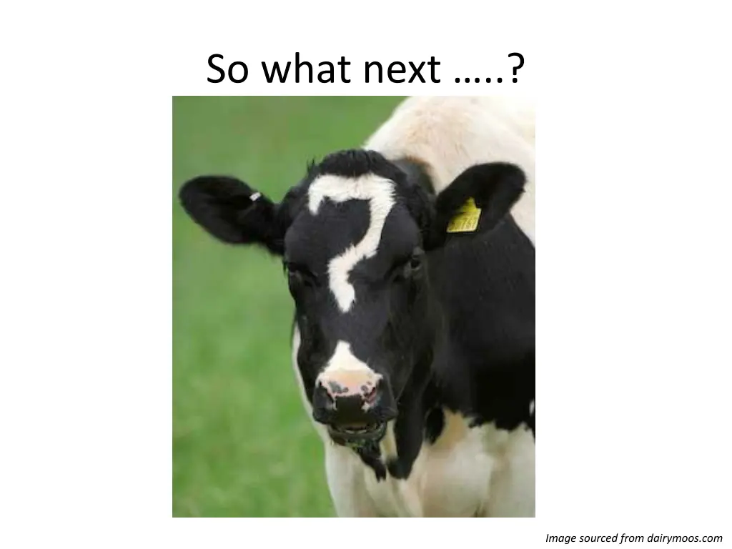 so what next
