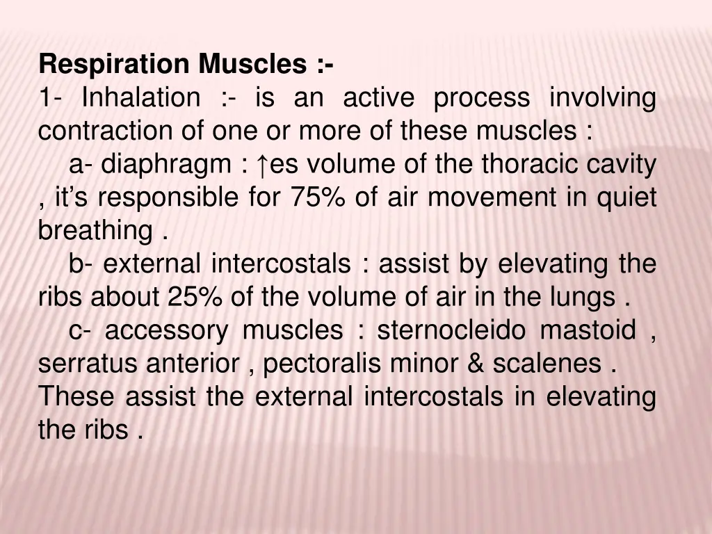 respiration muscles 1 inhalation is an active