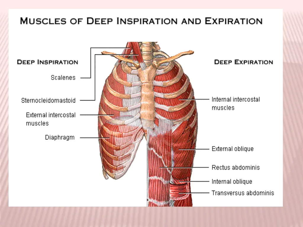 slide11