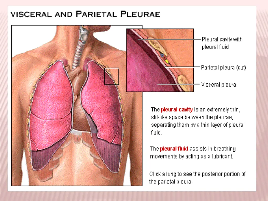 slide3