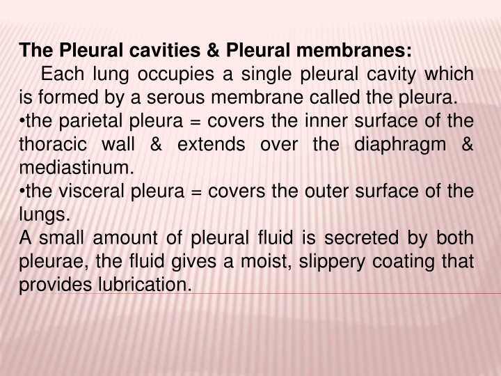 the pleural cavities pleural membranes each lung