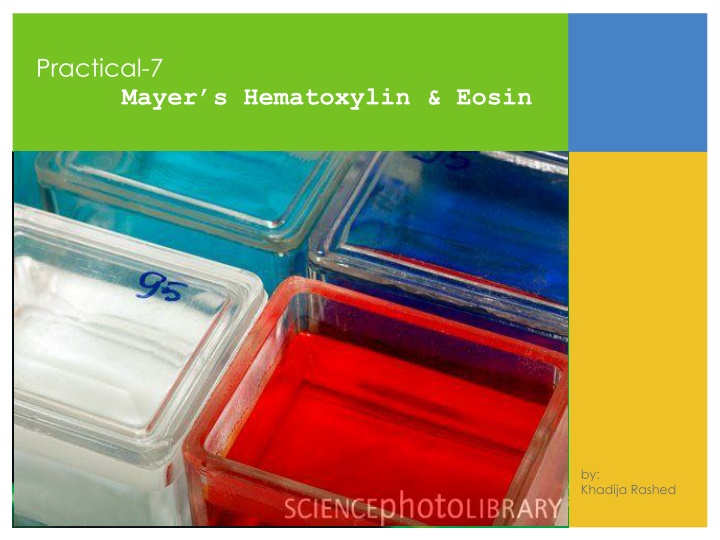 practical 7 mayer s hematoxylin eosin