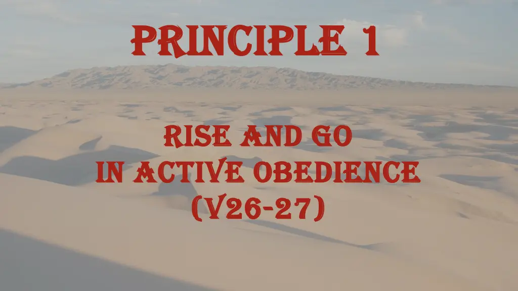 principle 1 principle 1