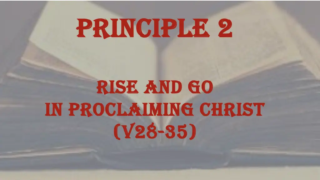 principle 2 principle 2