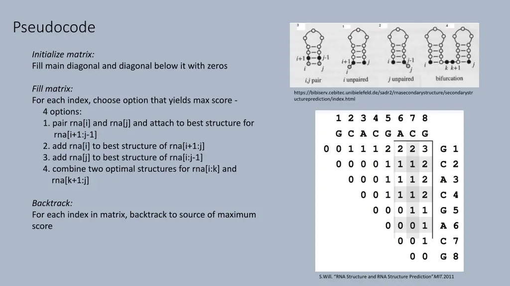 pseudocode