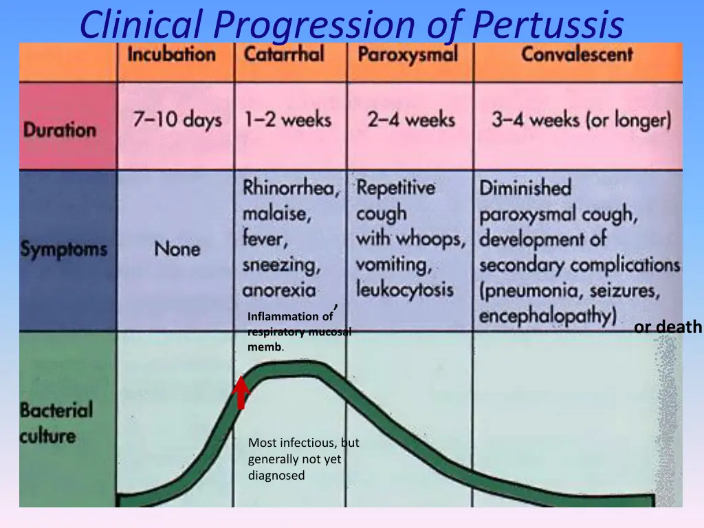 clinical progression of pertussis