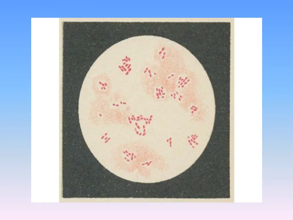 slide6