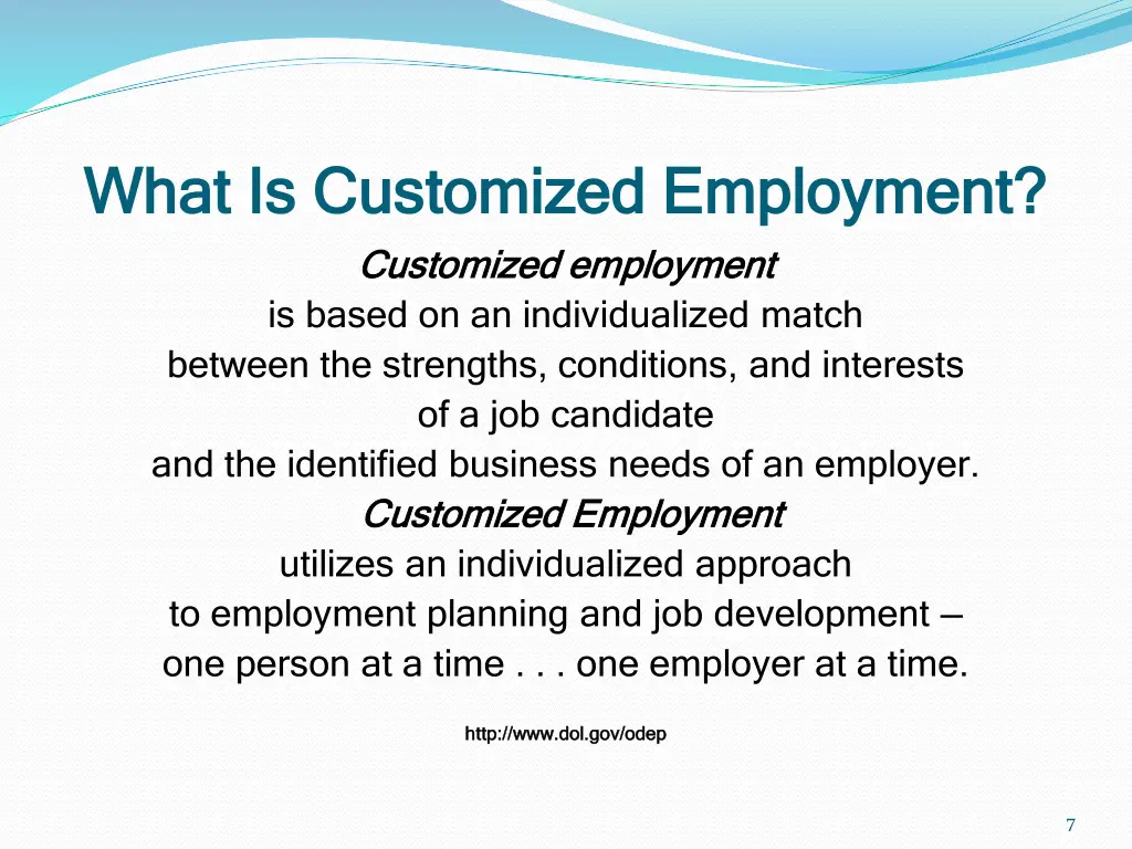 what is customized employment what is customized 1