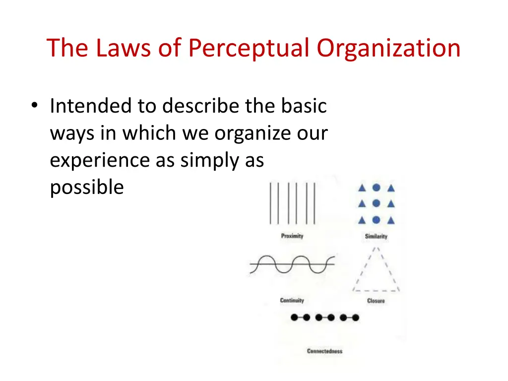 the laws of perceptual organization