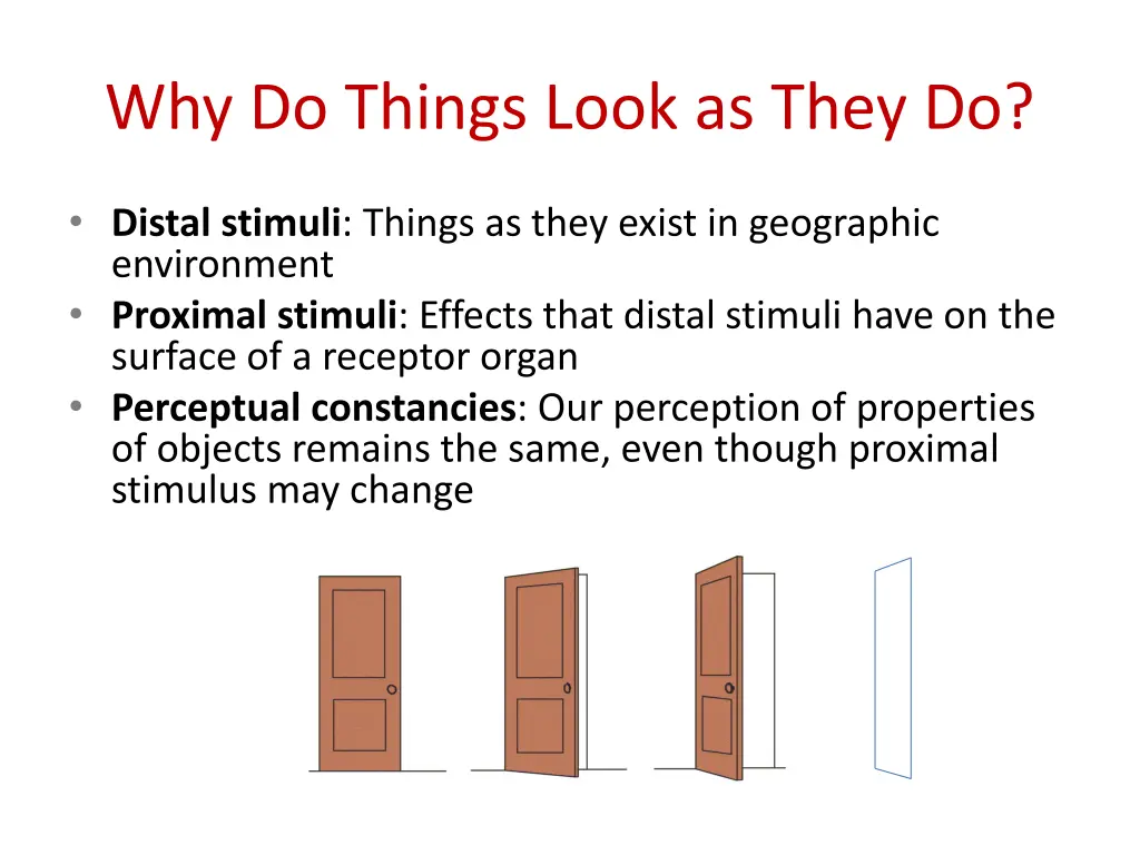why do things look as they do