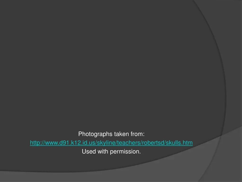 photographs taken from