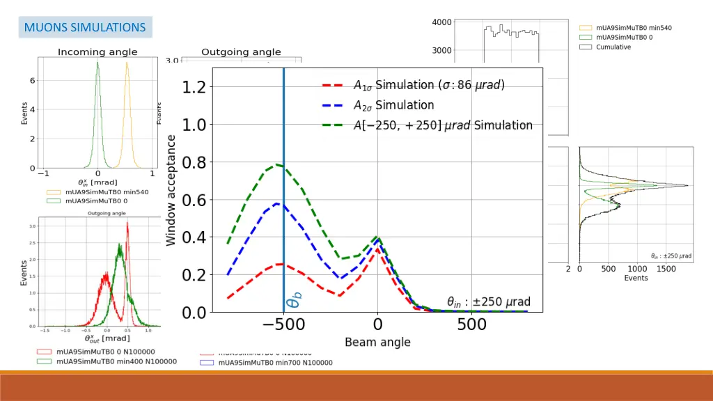 muons simulations