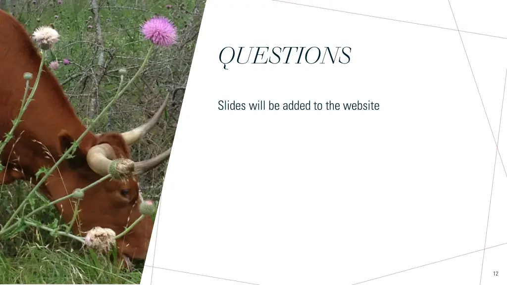 questions