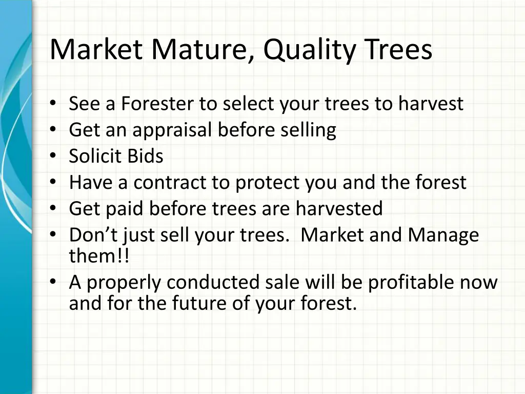 market mature quality trees