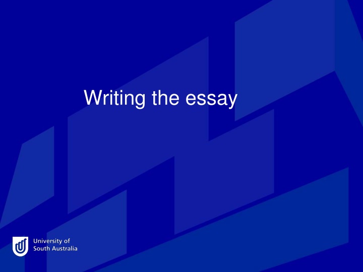 writing the essay