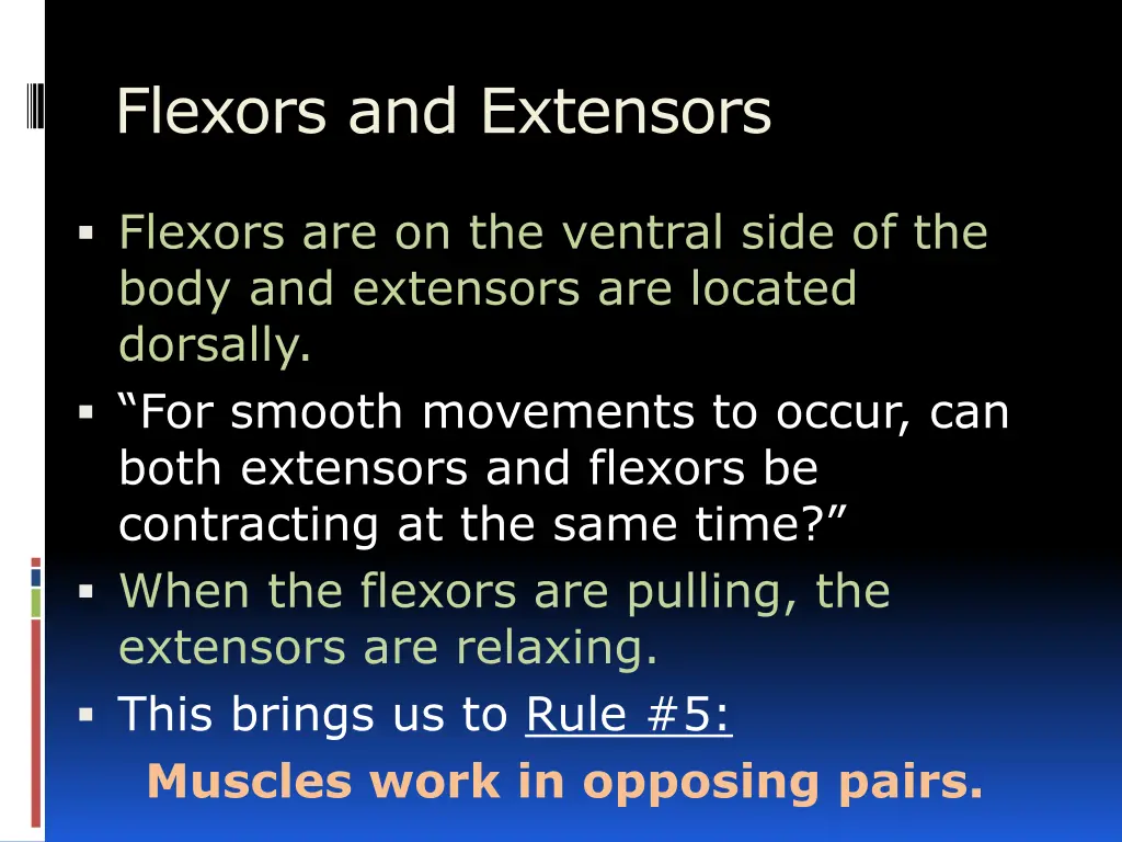 flexors and extensors