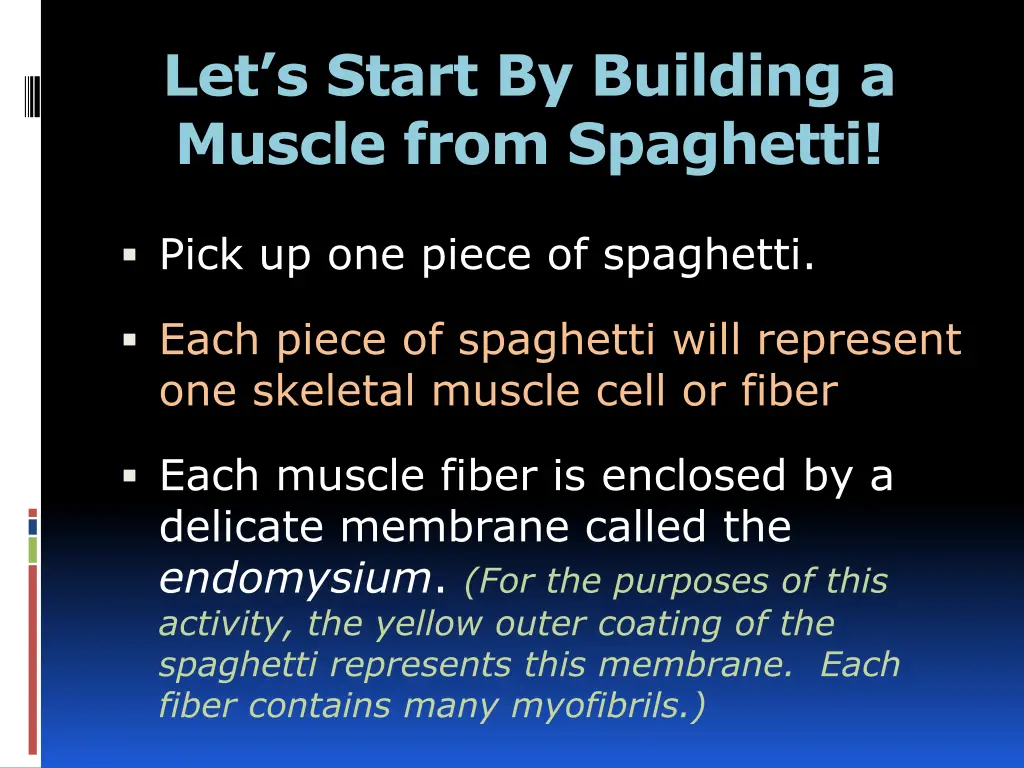 let s start by building a muscle from spaghetti