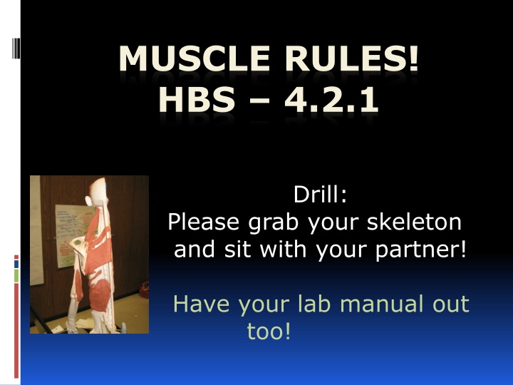 muscle rules hbs 4 2 1