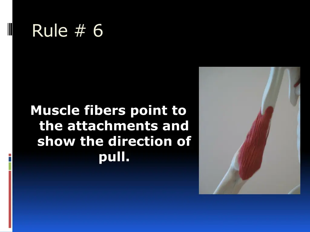 rule 6