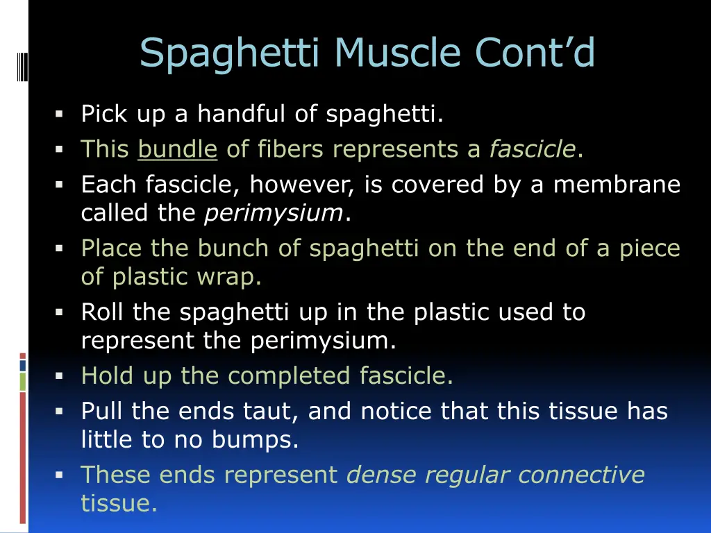 spaghetti muscle cont d