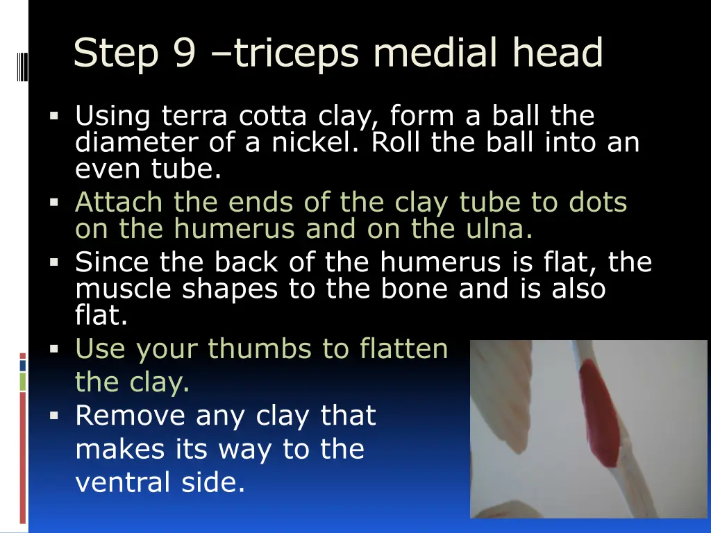 step 9 triceps medial head