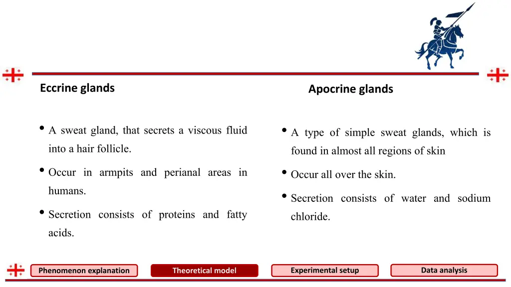 eccrine glands