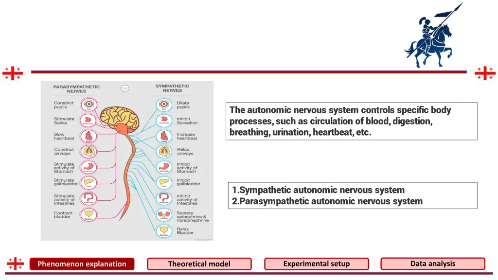 the autonomic nervous system controls specific