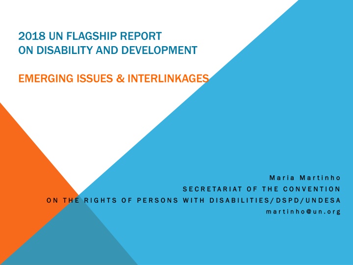 2018 un flagship report on disability