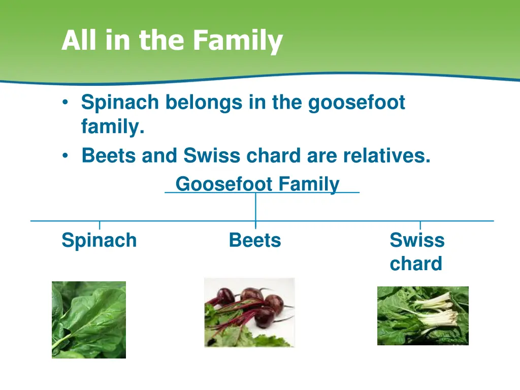 all in the family
