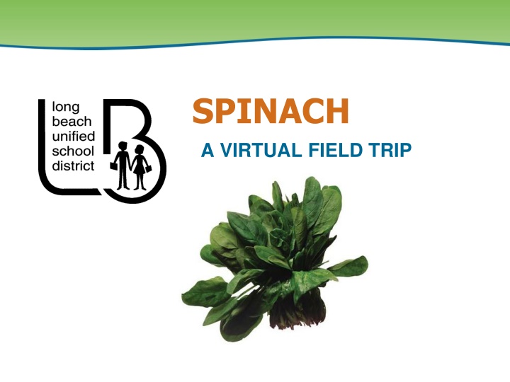 spinach a virtual field trip