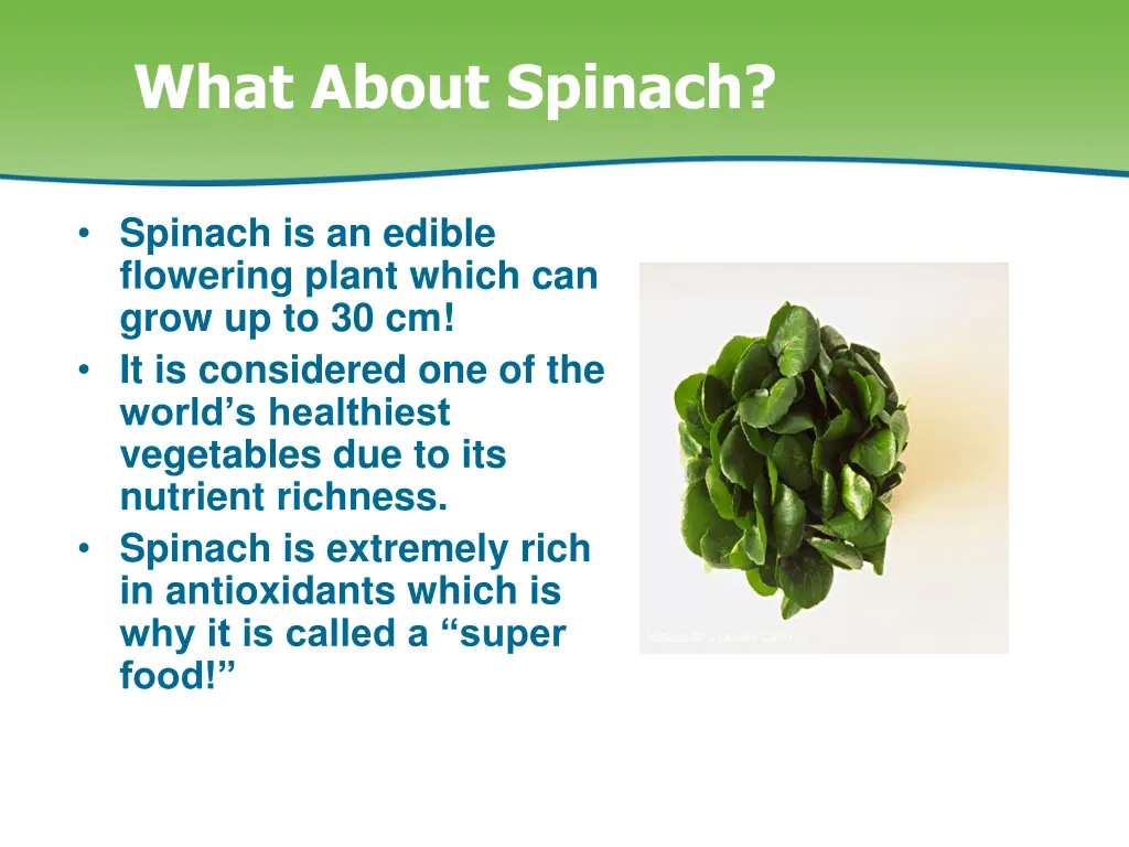 what about spinach