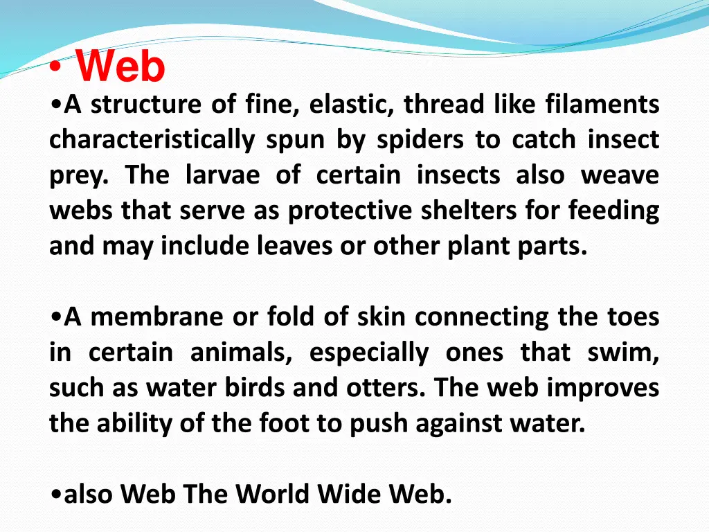 web a structure of fine elastic thread like