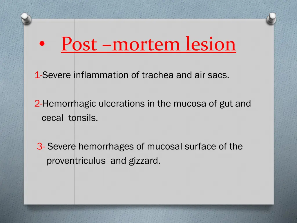 post mortem lesion