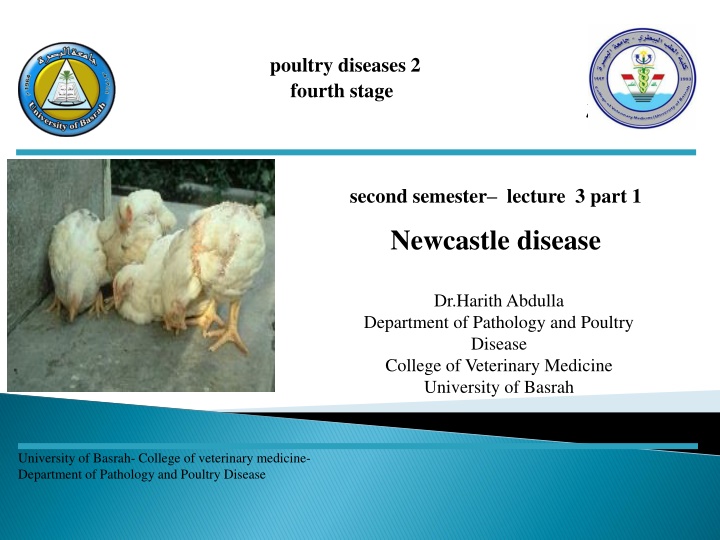 poultry diseases 2 fourth stage