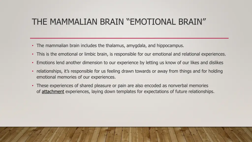the mammalian brain emotional brain