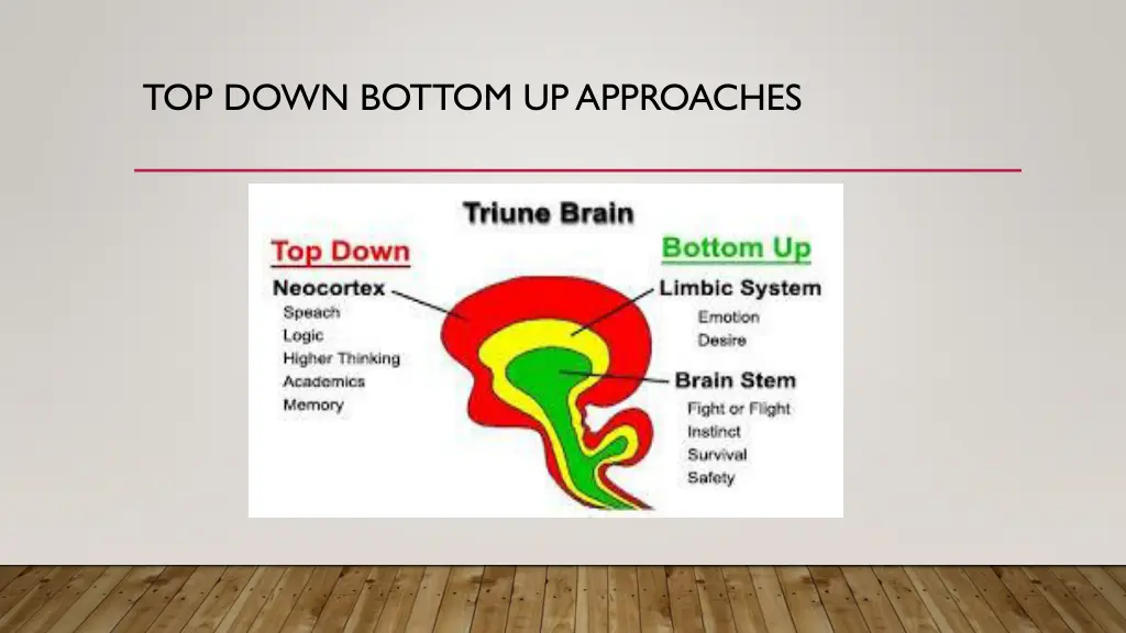 top down bottom up approaches