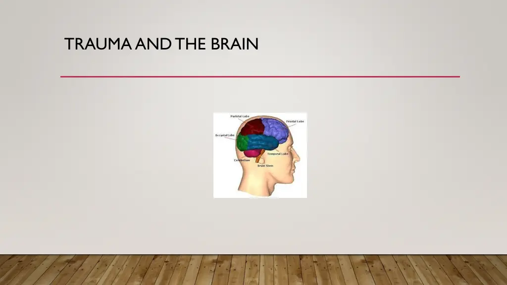 trauma and the brain