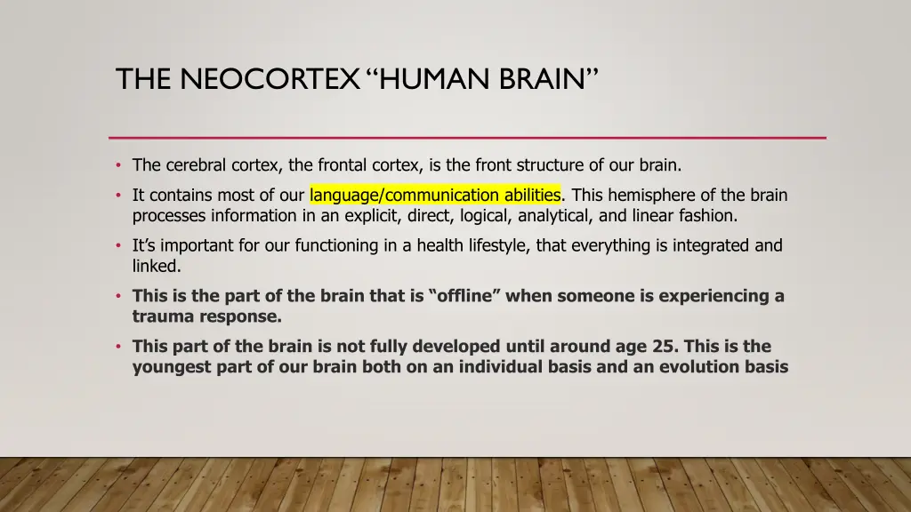 the neocortex human brain