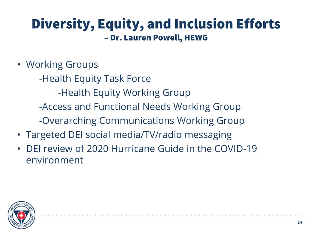 diversity equity and inclusion efforts dr lauren
