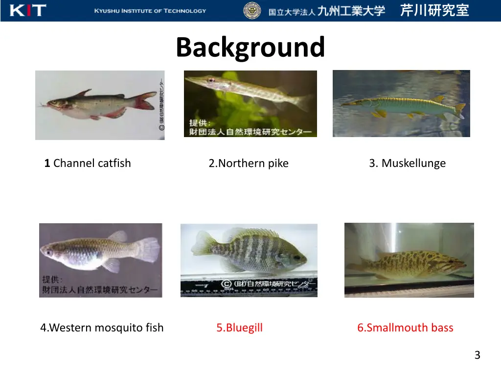 title 3