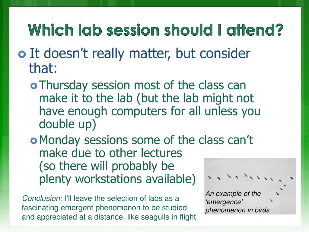 which lab session should i attend