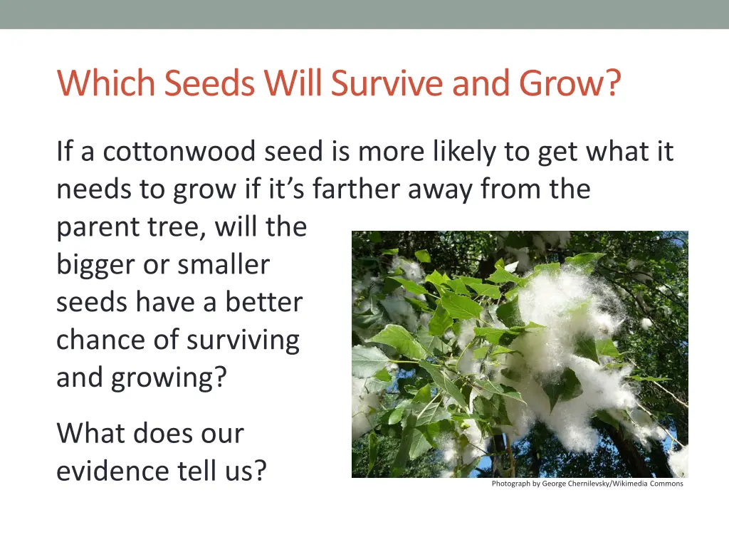 which seeds will survive and grow