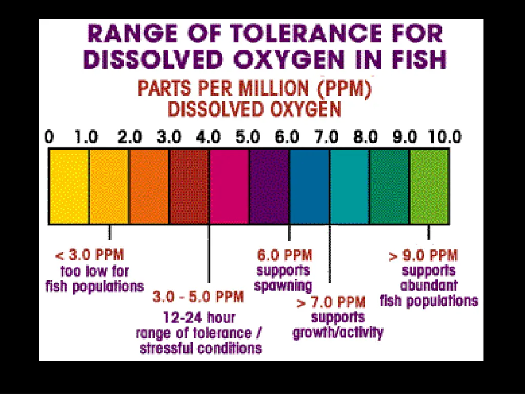 slide20